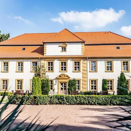 Stadtschloss Hecklingen*** Hecklingen  ภายนอก รูปภาพ